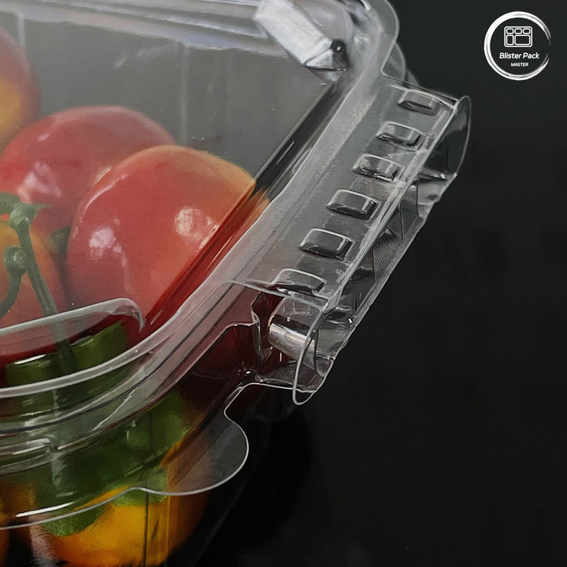 Contenedores de salada ecológicos de 16 e 24 oz com tampa fixada descartáveis para produtos frescos