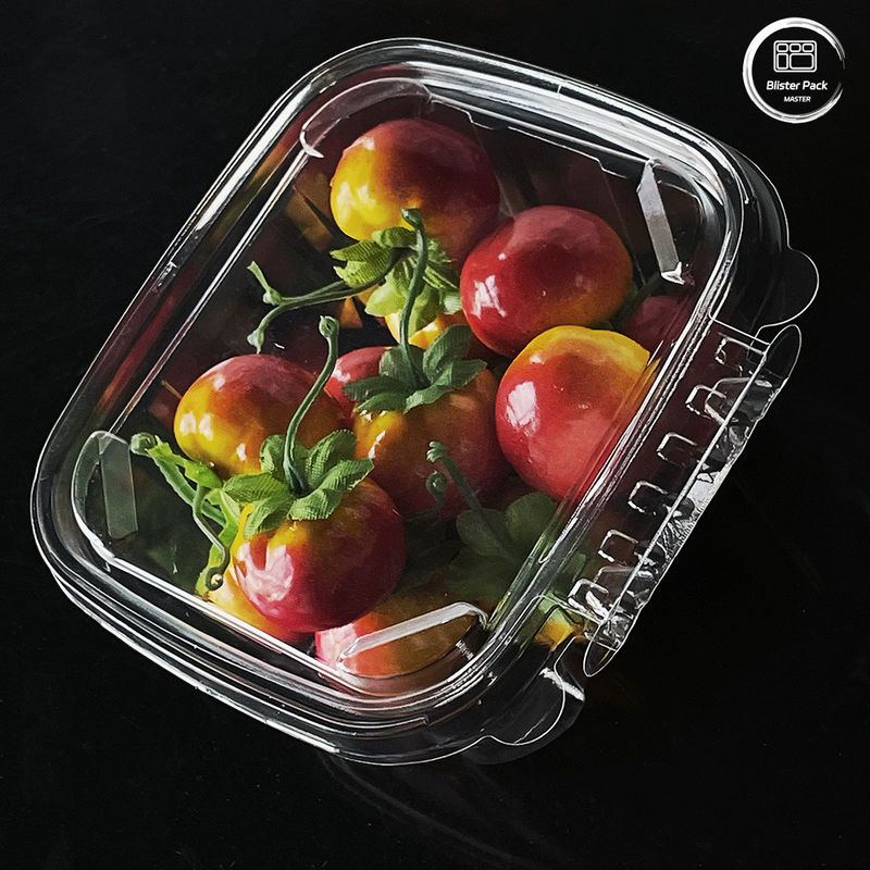 Contenedores de salada ecológicos de 16 e 24 oz com tampa fixada descartáveis para produtos frescos