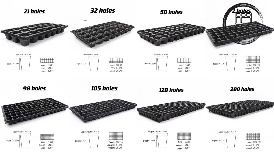 Acessível Multi Cell grandes bandejas de sementes de plástico 21 a 120 células para vegetais e plantas