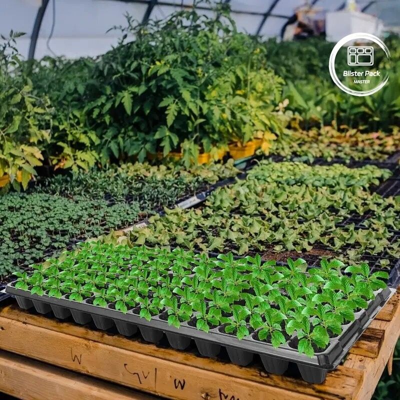 Telas de sementes de poliestireno de uva de 128 células de carga pesada Kit de inicialização e germinação de sementes duráveis