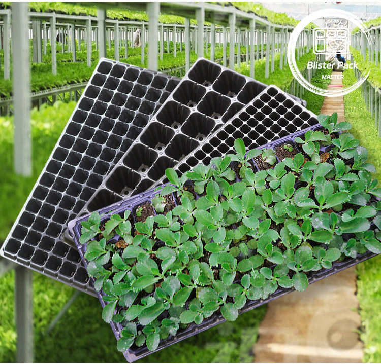 Telas de germinação de sementes multicelulares duráveis de 21 a 128 células para vegetais e flores