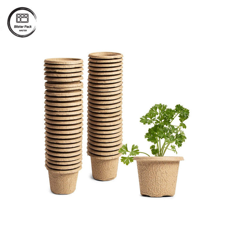 Biodegradável de cana de açúcar personalizado Bagasse 12 Plantas de células de bandejas Kit de inicialização para plantação de sementes