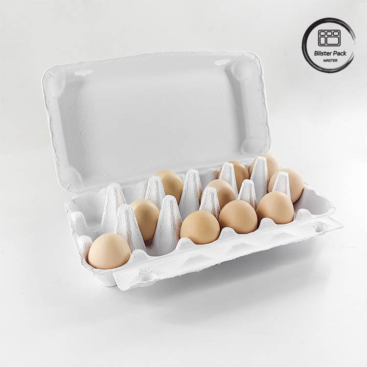 Embalagem de ovos de codorna ecológica personalizada 12 6 4 Caixa de pasta de papel Caixas de ovos para ovos de galinha