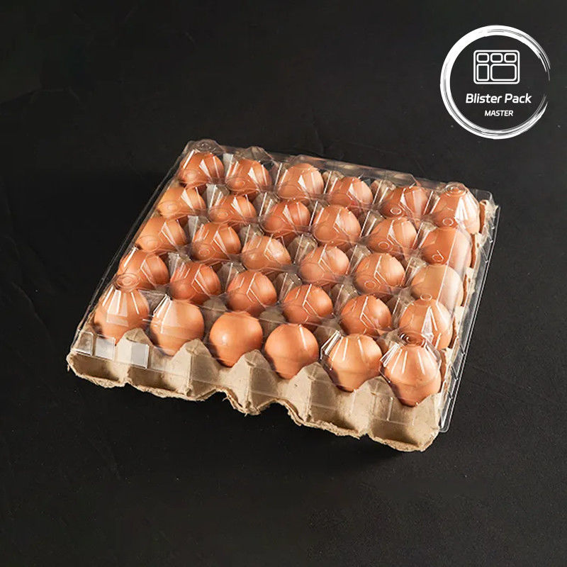 20/24/30 Célula PET Placa de bolhas de ovos de plástico transparente Embalagem de ovos de frango de codorna descartável com tampa