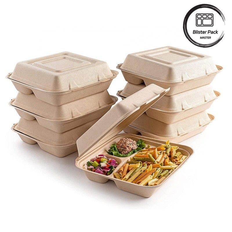 Blister Eco Compostable Clamshell 3 Compartimento Lanche descartável Caixa Bagasse de Cana-de-açúcar