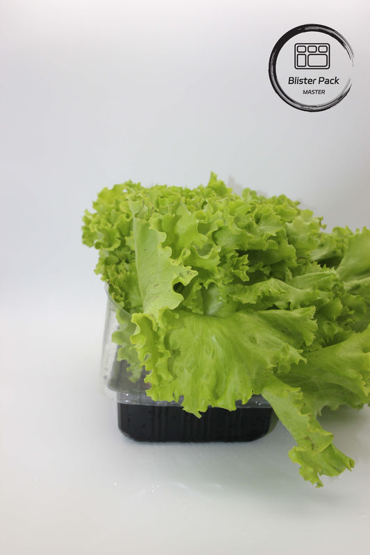 Jardim Artificial Vegetais e Frutas bandejas de sementeira de plástico perfeitas para decoração