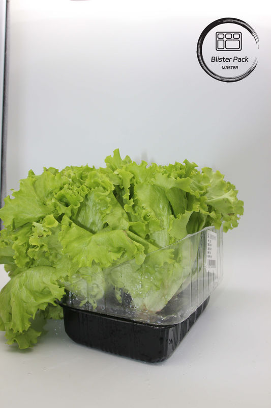 Jardim Artificial Vegetais e Frutas bandejas de sementeira de plástico perfeitas para decoração