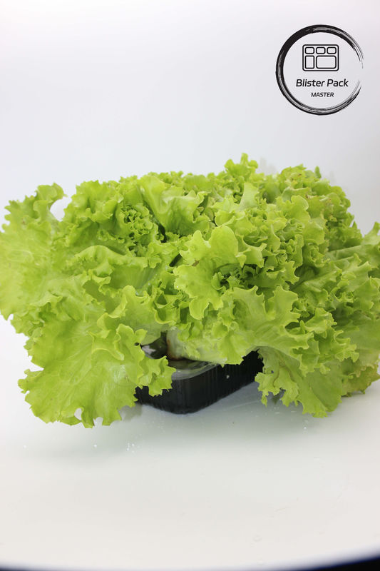 Jardim Artificial Vegetais e Frutas bandejas de sementeira de plástico perfeitas para decoração