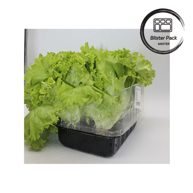 Jardim Artificial Vegetais e Frutas bandejas de sementeira de plástico perfeitas para decoração