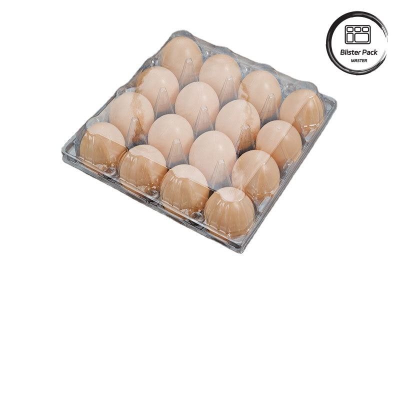 20/24/30 Célula PET Placa de bolhas de ovos de plástico transparente Embalagem de ovos de frango de codorna descartável com tampa