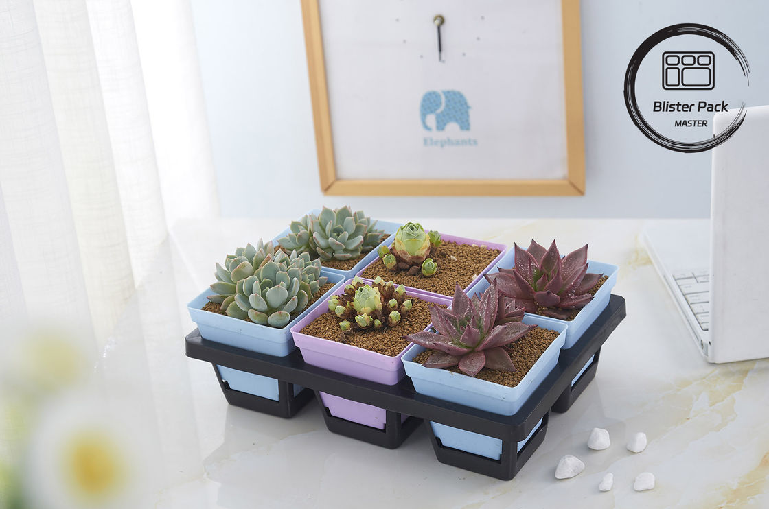 Caixas de sementeira de plástico de tamanhos múltiplos 6, 12, 20, 24, 40 células Duráveis para jardinagem