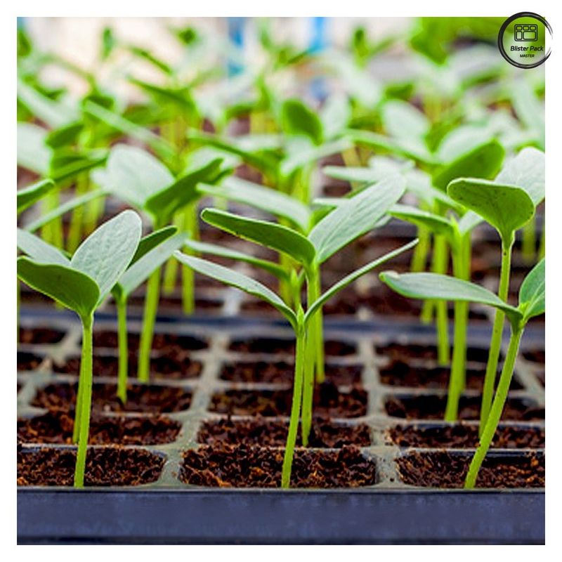 Taquetes de sementes duráveis para a propagação de plantas, 28/32/50/72/105/128/200/288 Taquetes de sementes para viveiros de células
