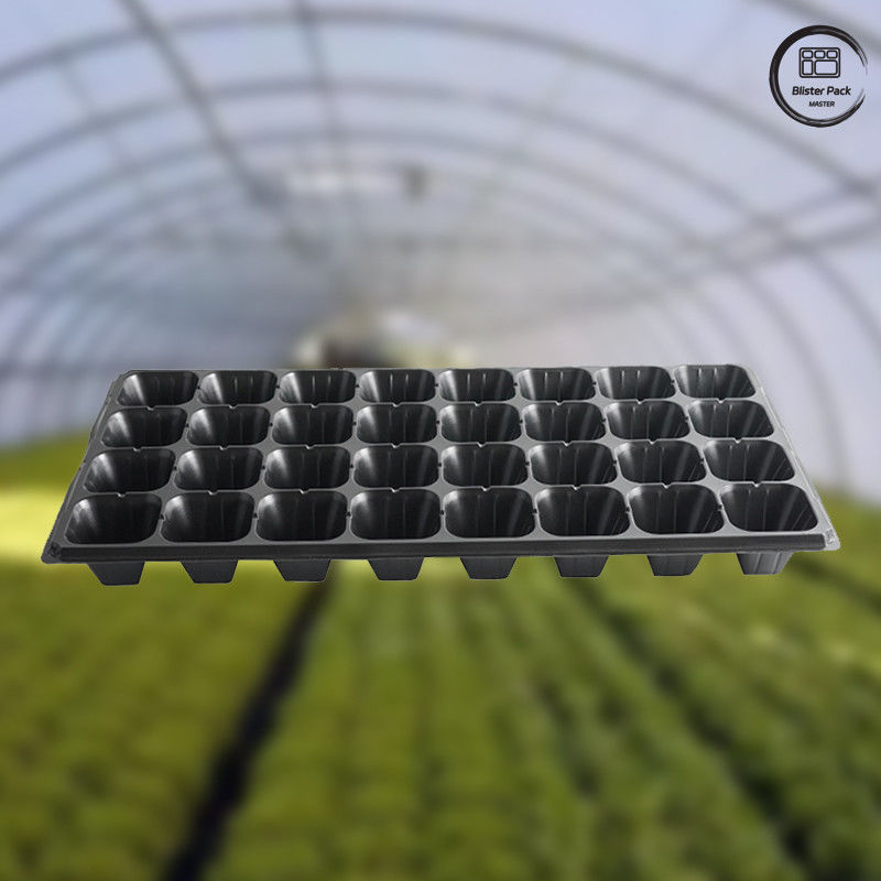 32/50/72/105/128/200 Caixa de sementes de PET para germinação de plantas, Caixas de sementes de jardim de legumes
