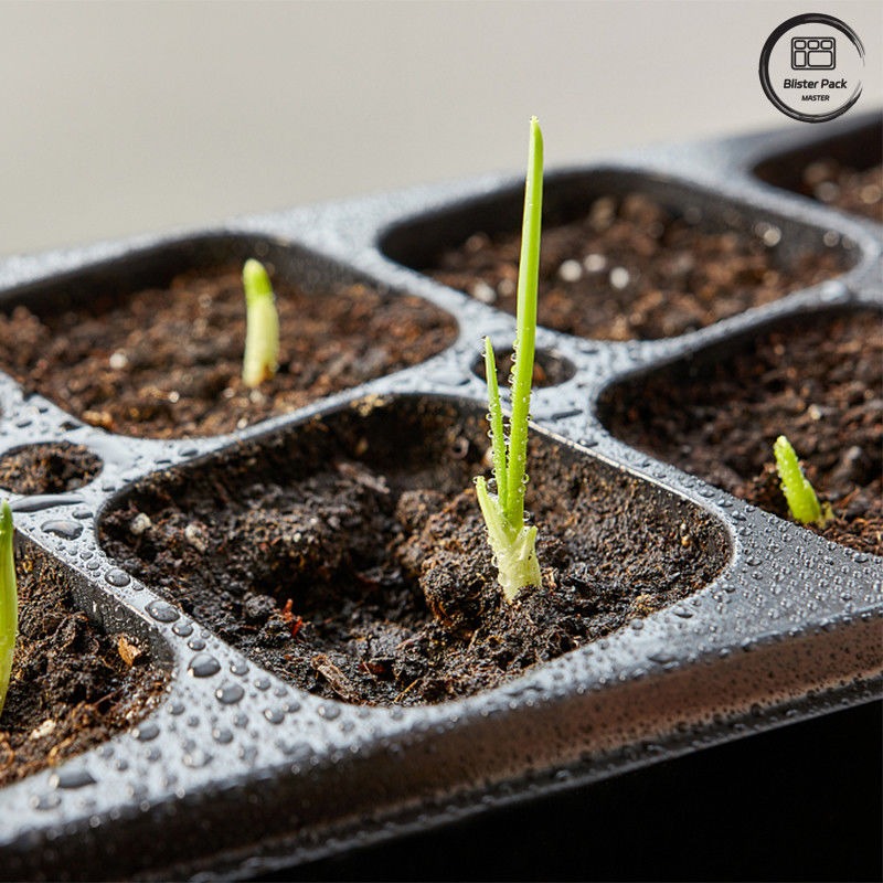 Caixa de sementeira para plantação de árvores de jardim PS preta, Caixa de germinação degradável de 50 células para uso no berçário